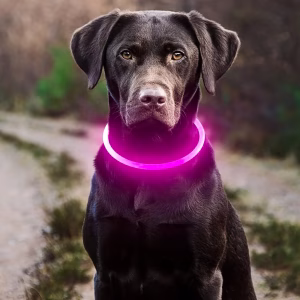 Collar Lumina LED para Perro — Azul: imagen 2