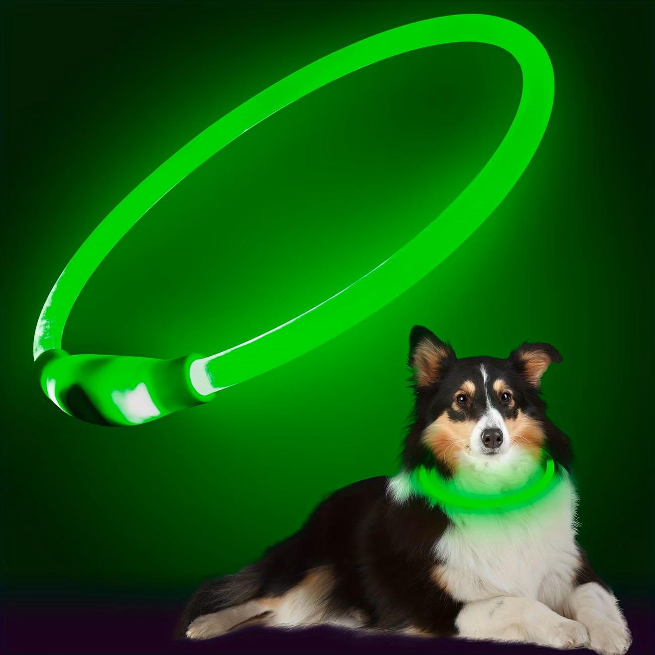 Collar Lumina LED para Perro — Azul: imagen 3