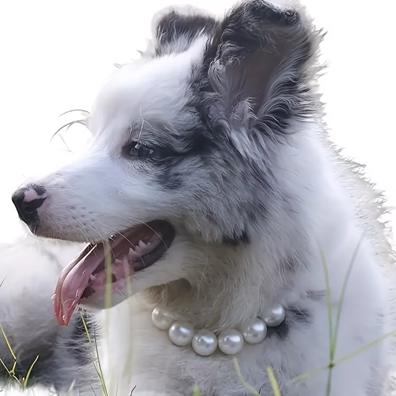 Collar Bijou de Perlas para Mascota — Talla M
